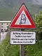 Austria: caution, marmots!