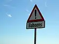 South Africa: baboons.