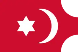 علم المغرب (1462- 1554)، علم الوطاسيون