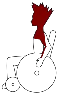Visualisation of functional mobility for a S1 competitor