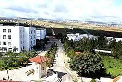دوار المكتبة