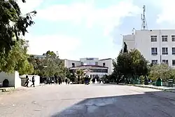 المكتبة والمباني المجاورة