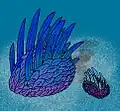 خنجريات الظهر (الاسم العلمي: Wiwaxia) (رخويات؟)