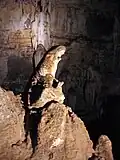 ماري المصلية