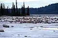 بحيرة غروسبيك