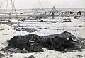 الموقع بعد ثلاثة أسابيع، وعدد من الجثث مغطاة ببطانيات في المقدمة