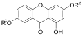 زانثون present in Gentiana. Gentisin R1=H, R2=CH3; isogentisin R1=CH3, R2=H