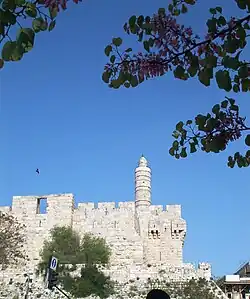 برج القلعة.