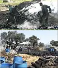 يحرق في مشاحر يعبد أكثر من 100 ألف طن حطب سنوياً. أدى الارتفاع الكبير لنسبة الغازات في منطقة يعبد إلى نتائج صحية سيئة