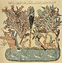 يحيى محمود الواسطي