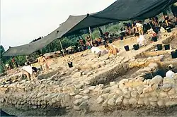 حفريات عام 1998