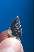 رأس سهم صواني