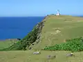 يوناغوني