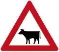 Cattle crossing