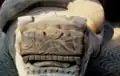 سلحفاة تشوفو