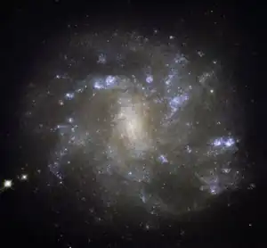 NGC 2500